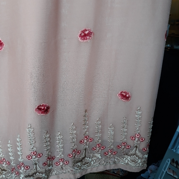 Party shalwarkameez - Picture 4 of 5